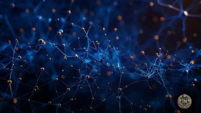 Neuromarketing e estratégia de valor: como aprimorar a experiência do consumidor