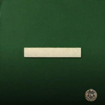 SEO para autoridade em nichos: como dominar seu mercado específico